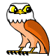 ancient owl  animation