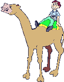 tourist on camel  animation