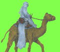 camel  animation
