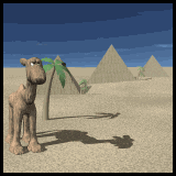  camel in desert animation