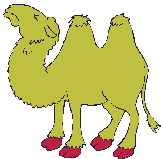 camel with arab  animation