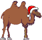 xmas camel  animation