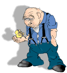 old man with chick  animation