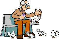  old man feeding pidgeons animation