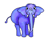 blue elephant  animation