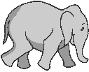 walking elephant  animation