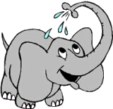 elephant spraying water animation