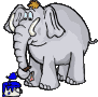 elephant with blue paint animation