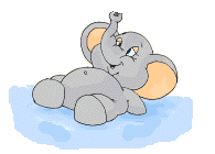 crinkly  elephant  animation