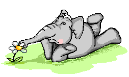 elephant  animation