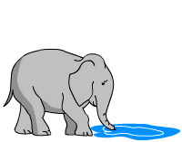 elephant squirting water  animation