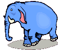 blue elephant stamping elephant  animation