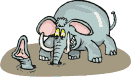 elephant in the mud  animation
