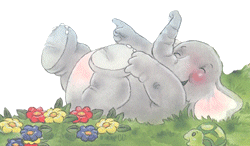 elephant laughing on the grass and flowers  animation