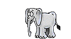 little  elephant  animation