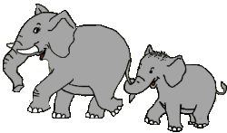 elephant and baby  animation