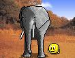 elephantwith a smilie  animation