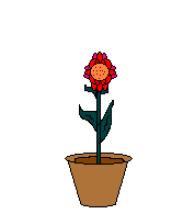 red flower and bee  animation