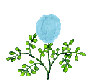 blue flower  animation