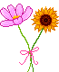 two flowers  animation