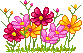 clump of flowers  animation
