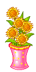 vase of sunflowers  animation
