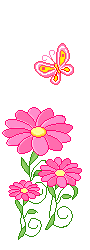 pink flowers and butterfly  animation