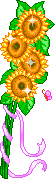  sunflowers animation