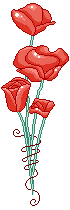 red flowers animation