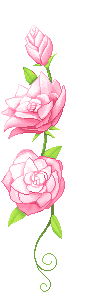 roses animation