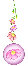  flowers animation