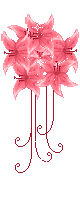 pink lillies  animation