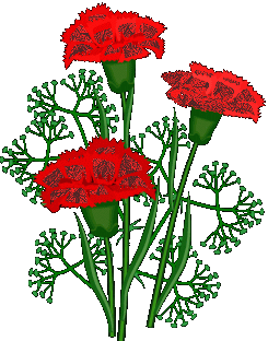  red carnations animation