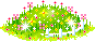 flowers in the grass  animation