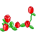 roses  animation