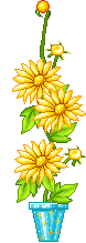  yellow flowers animation