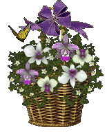 basket of flowers and butterfly animation