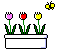 box of flowers  animation