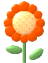 orange flower  animation