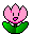little pink flower  animation