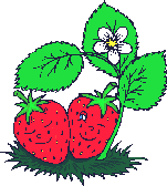 strawberries   animation