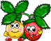  two fruits  animation