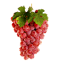 bunch of grapes   animation