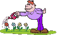 watering flowers  animation