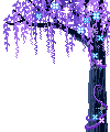 wisteria arch  animation