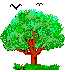 tree and birds   animation