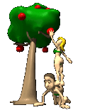 adam and eve picking an apple   animation