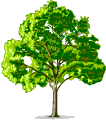 tree changing colour  animation