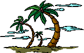 palm trees   animation