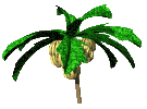 banana tree   animation
